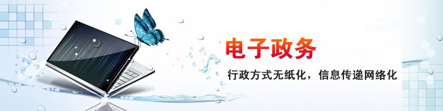 電子政務(wù)